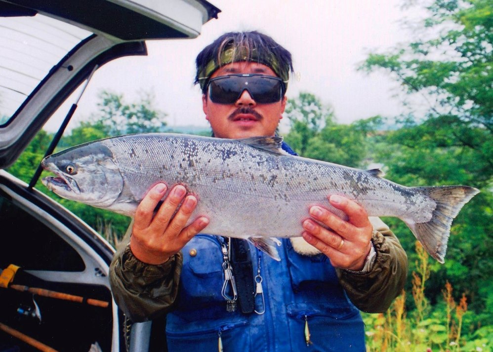 メスの超大型サクラマス